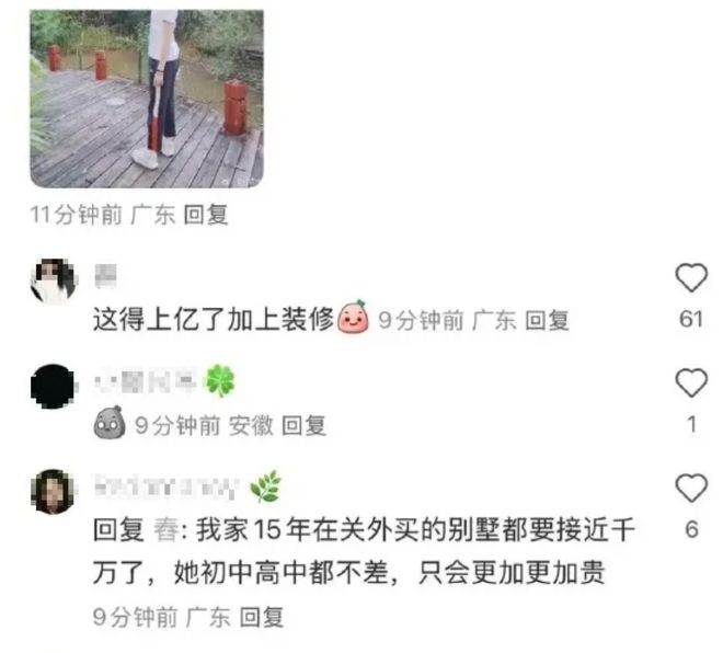 钿甜家里的10个好货！开元ky棋牌扒一扒黄杨(图7)