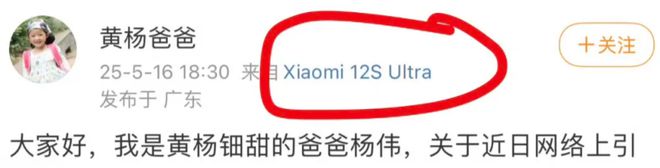 钿甜家里的10个好货！开元ky棋牌扒一扒黄杨(图6)